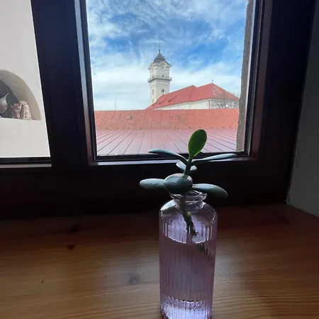 Alipoint Spišské Podhradie