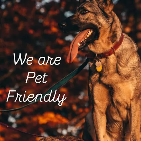 Alipoint * Spišské Podhradie