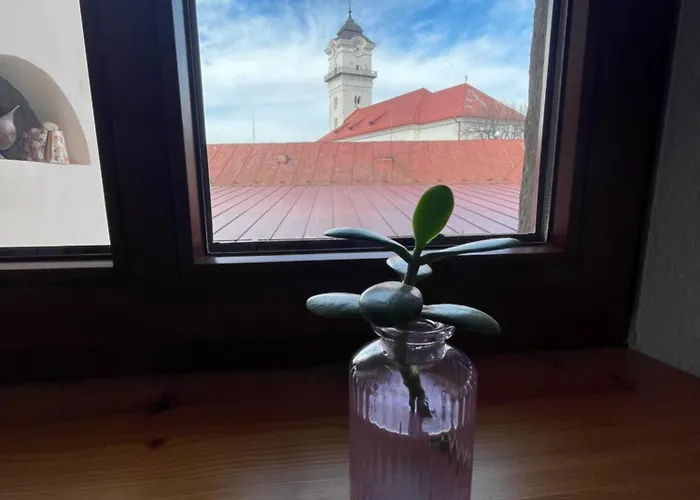 Alipoint Spišské Podhradie