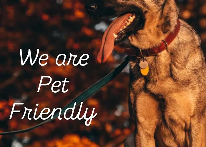 Alipoint * Spišské Podhradie